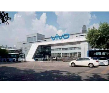 VIVO